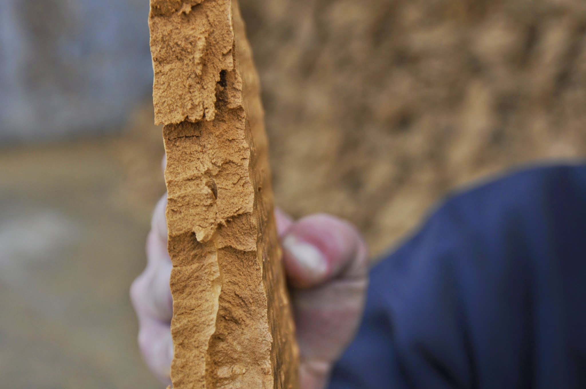 filter-cake-thickness