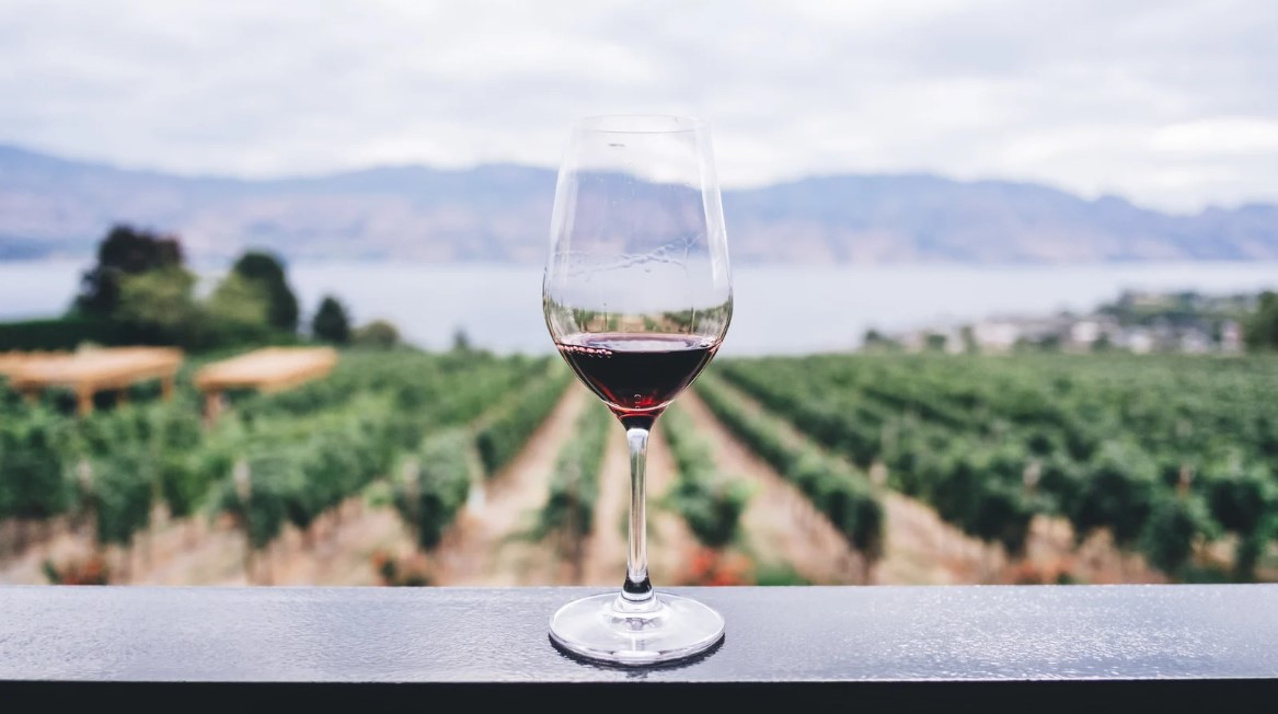 Ein Glas Rotwein mit Blick auf ein Weingut in einem Tal